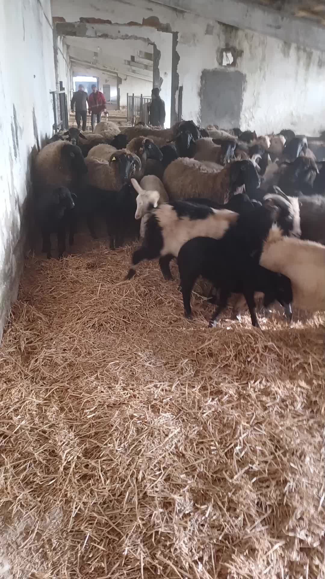 @Cătălin.B90
