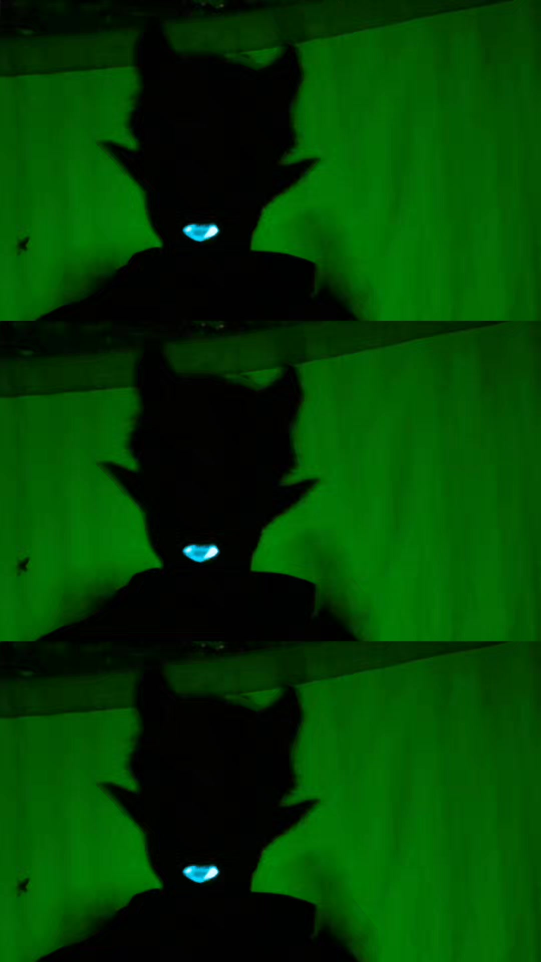 @🎩🖤sombrita shadow🖤🎩