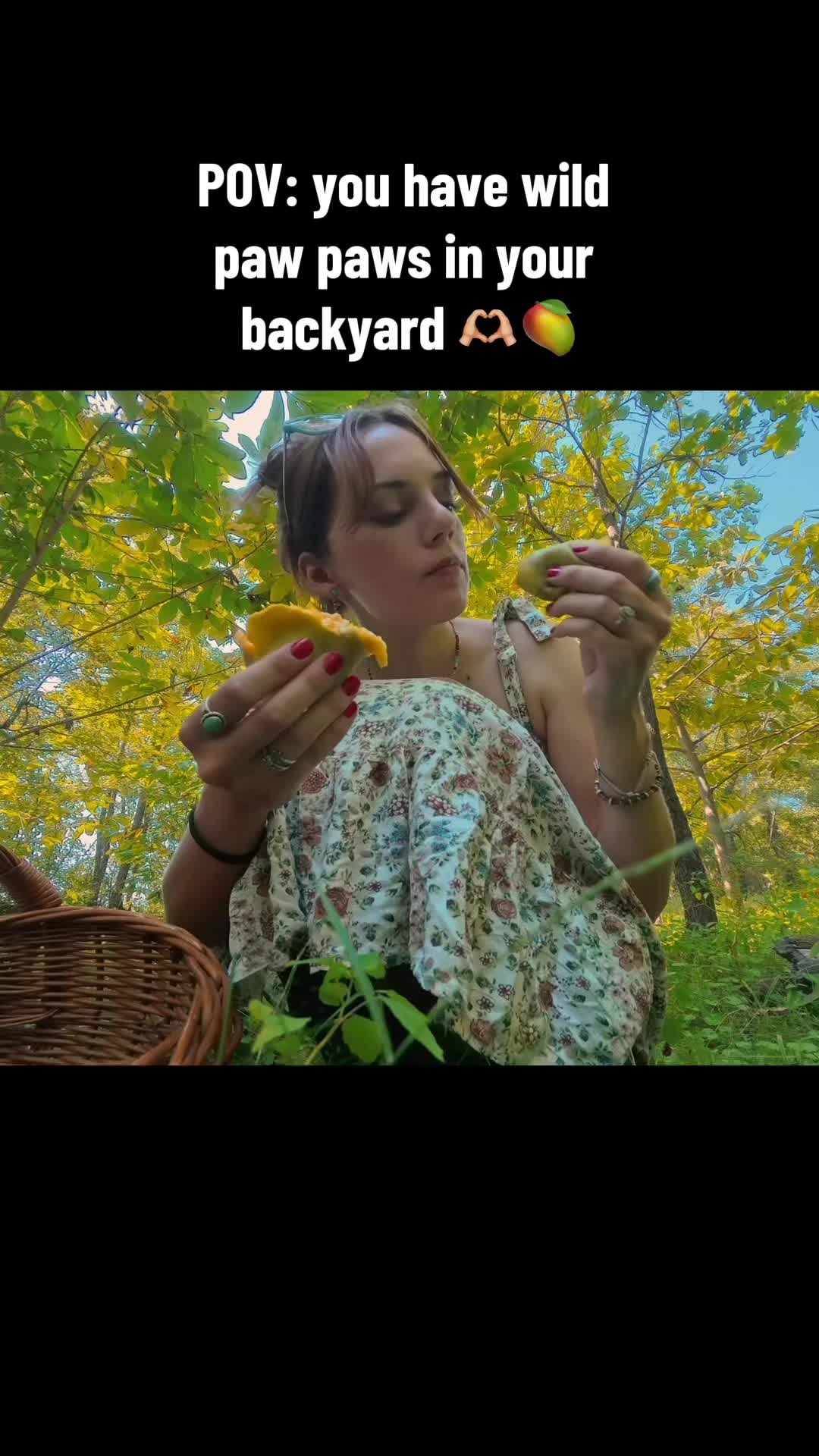 @Haley The Homesteader