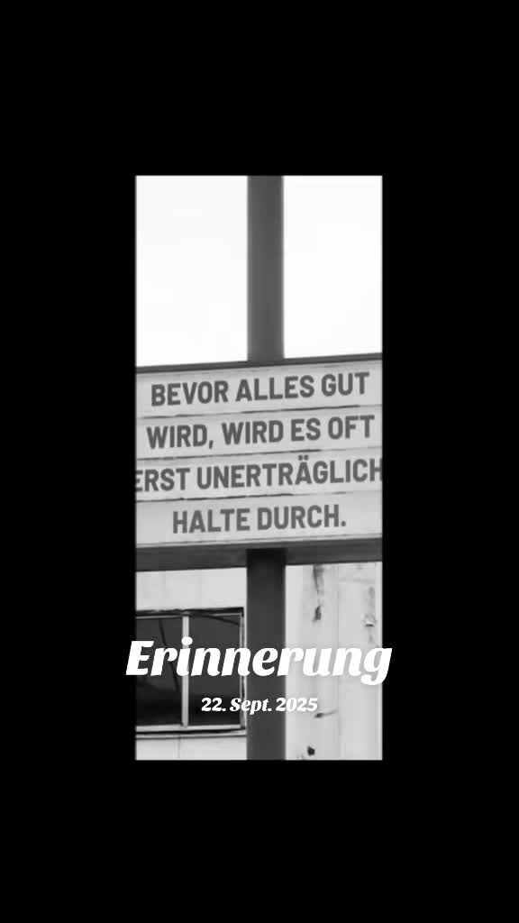 @elbabo🇩🇪