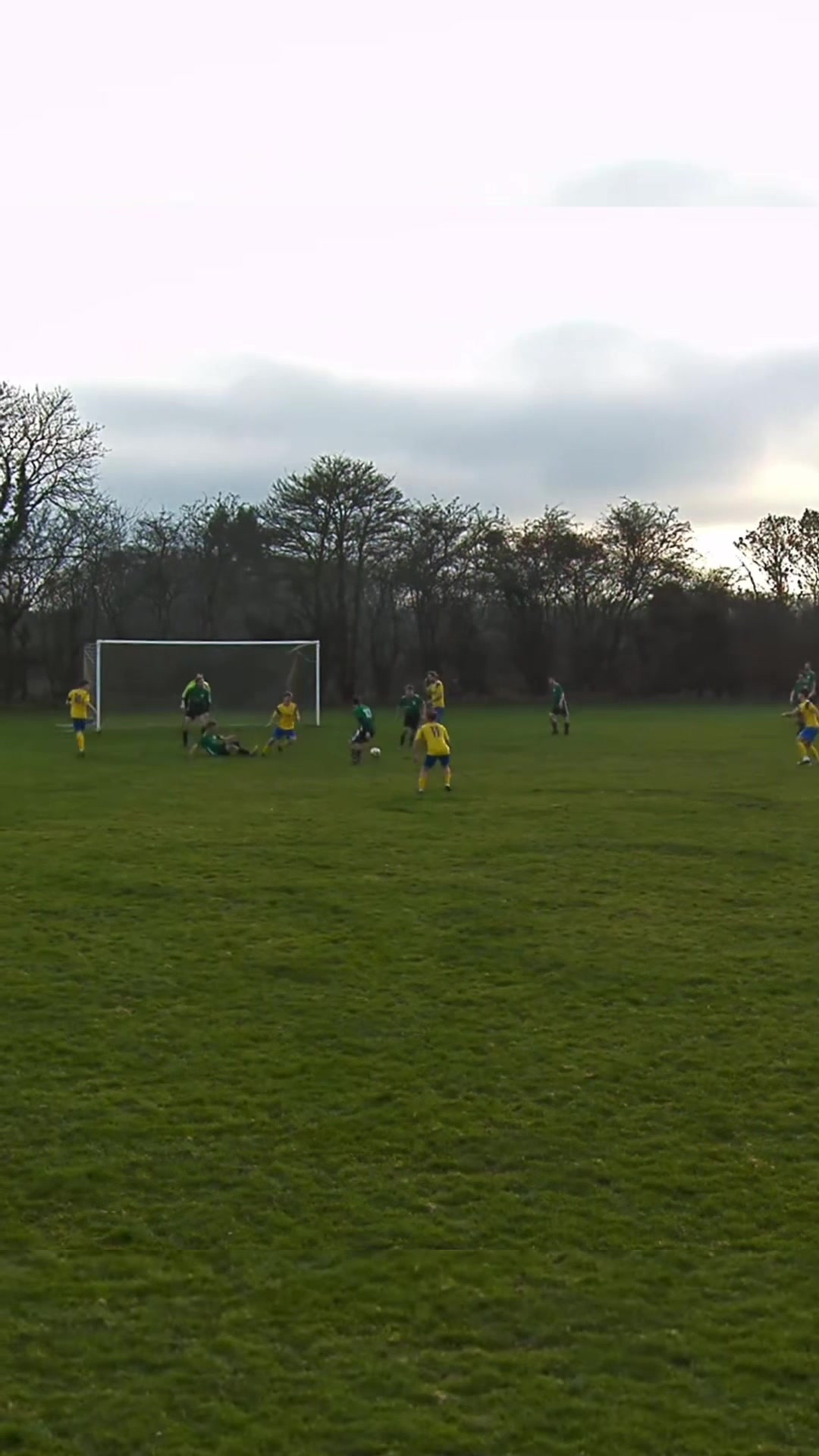@Hadleigh Dragons