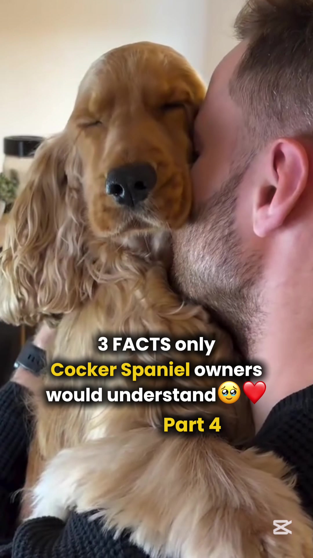 @Real Barks