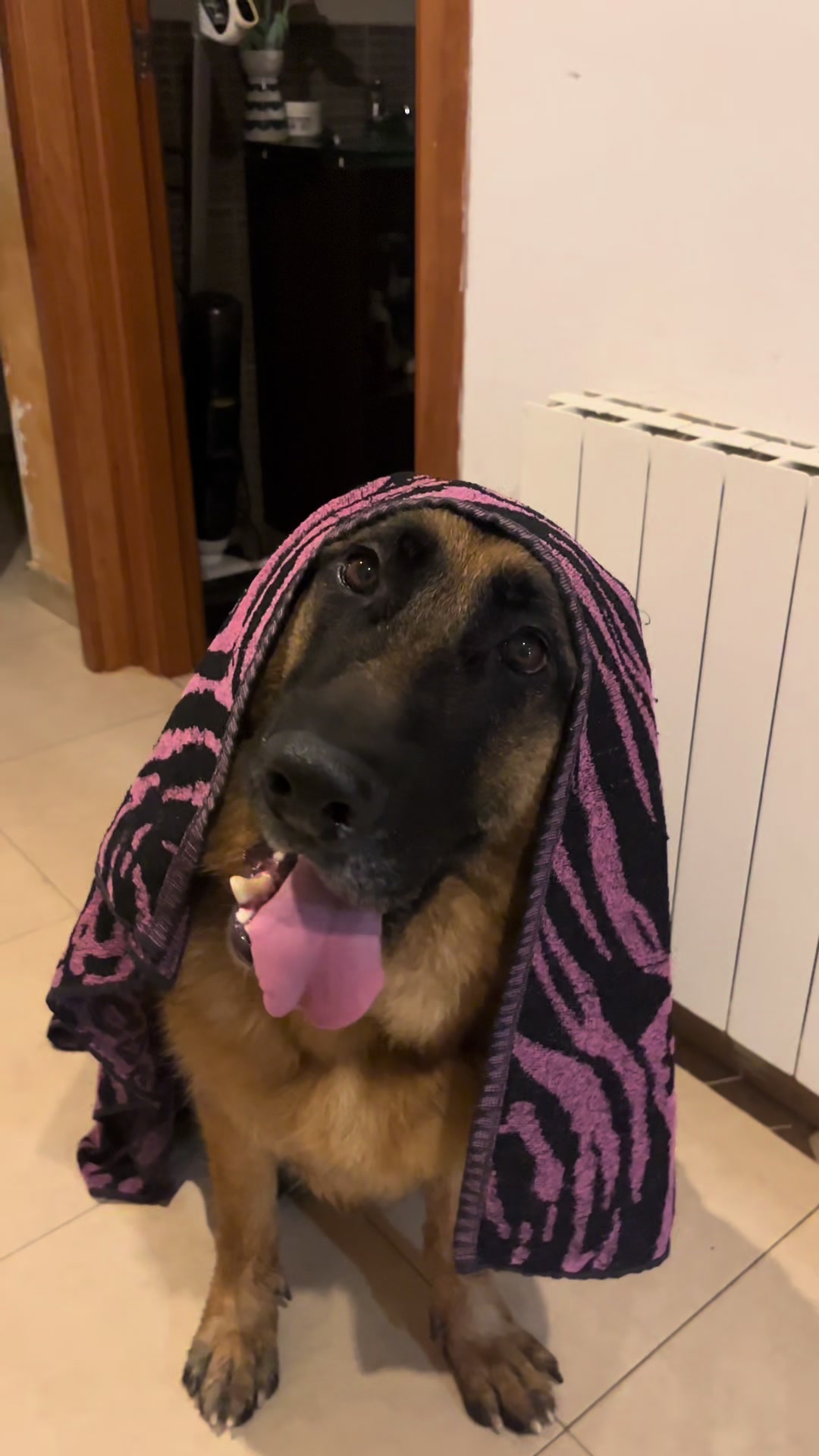 @horusysusmichis