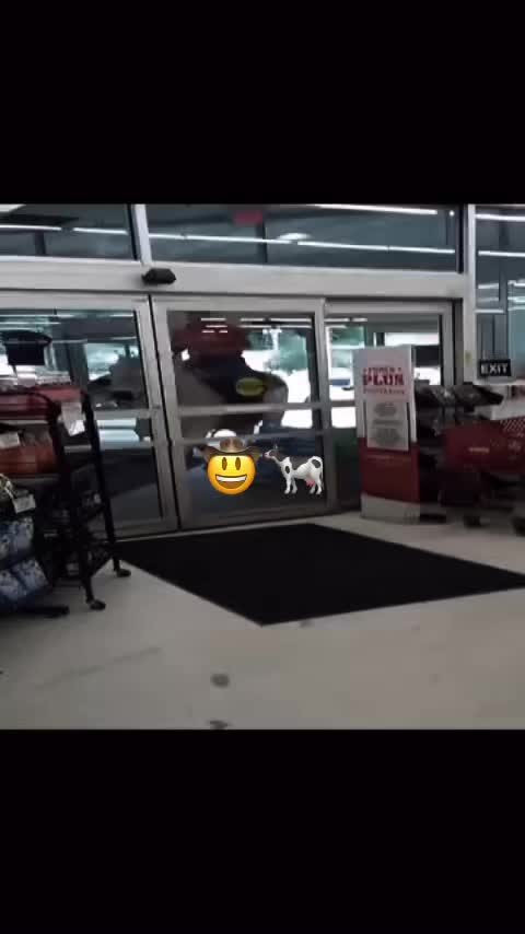 @marokMafia