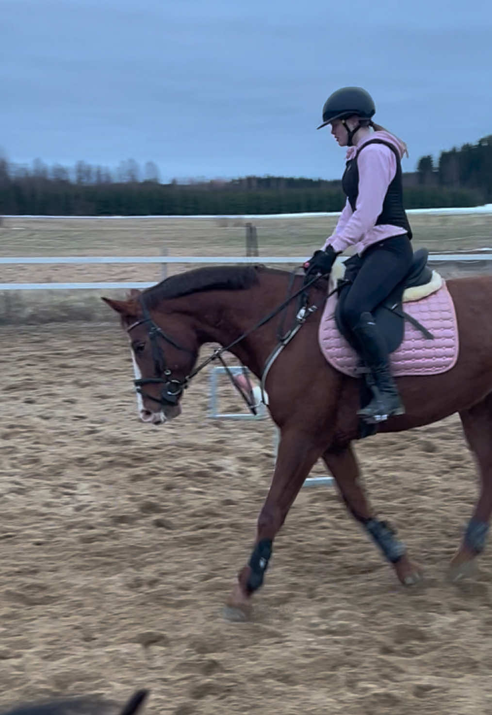 @Equestrian Veera🏇