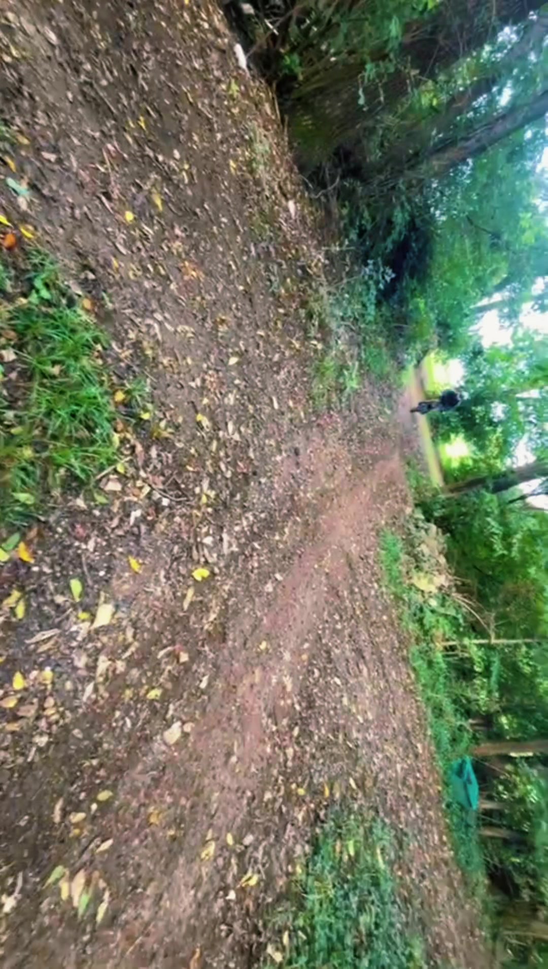 @Jaxen_j.179