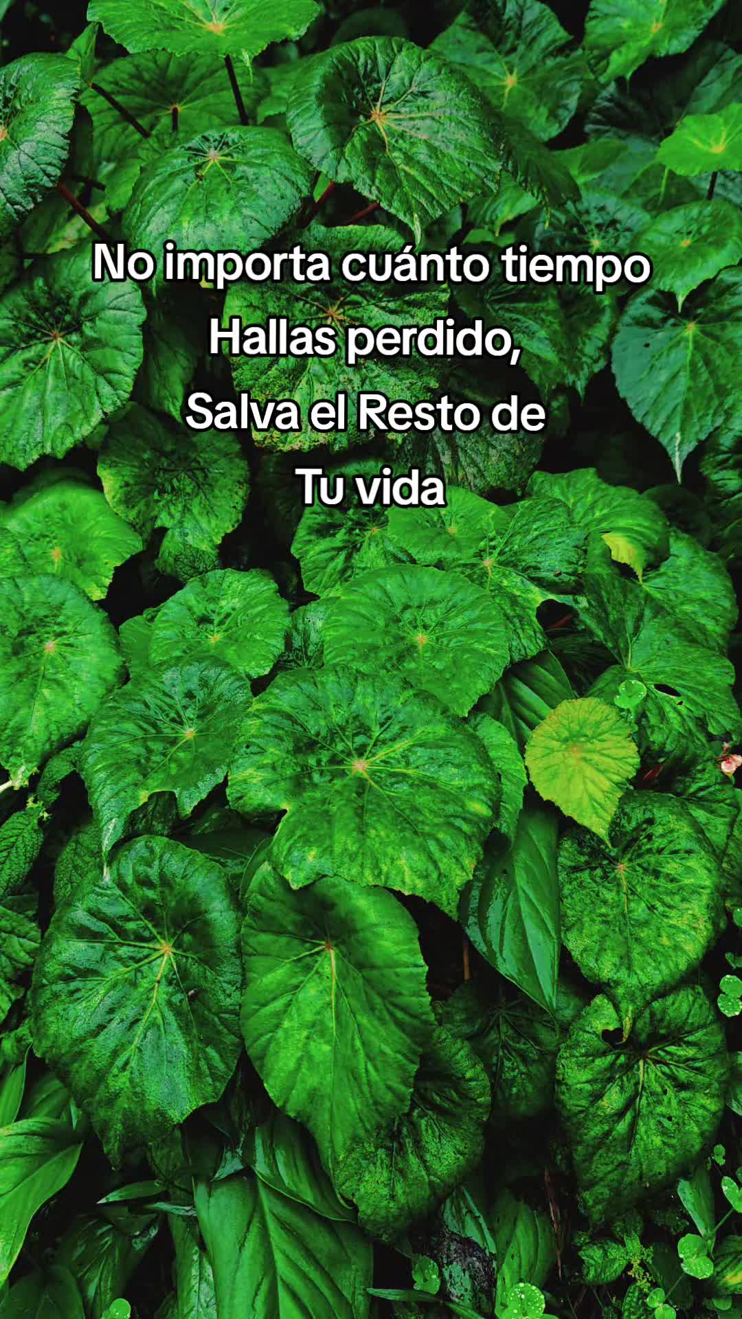 @Alejandro Silva