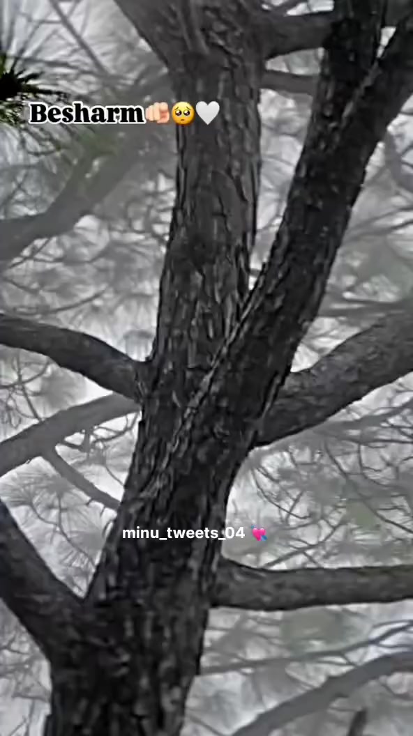 @❥︎🇲 𝗥 🇲𝗔𝗔𝗡♕︎