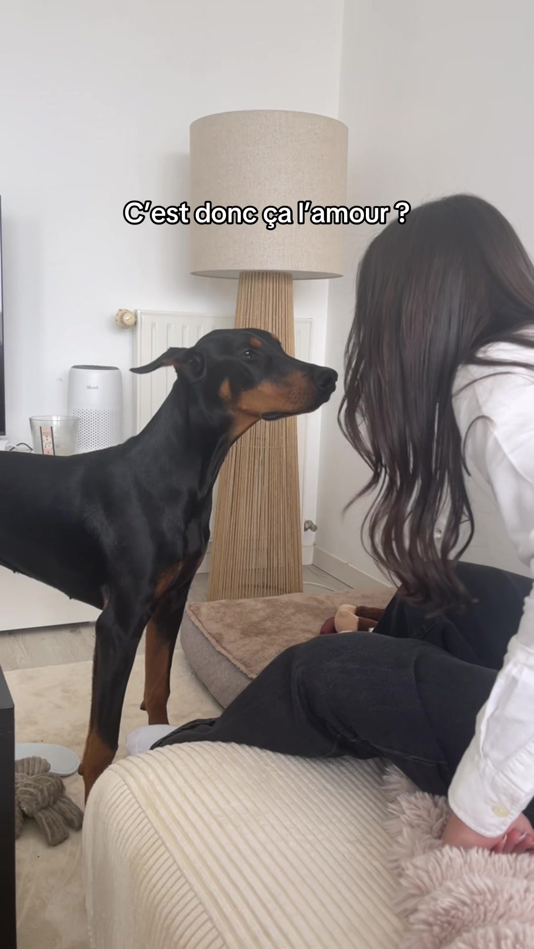 @Ar&egrave;s 🐶