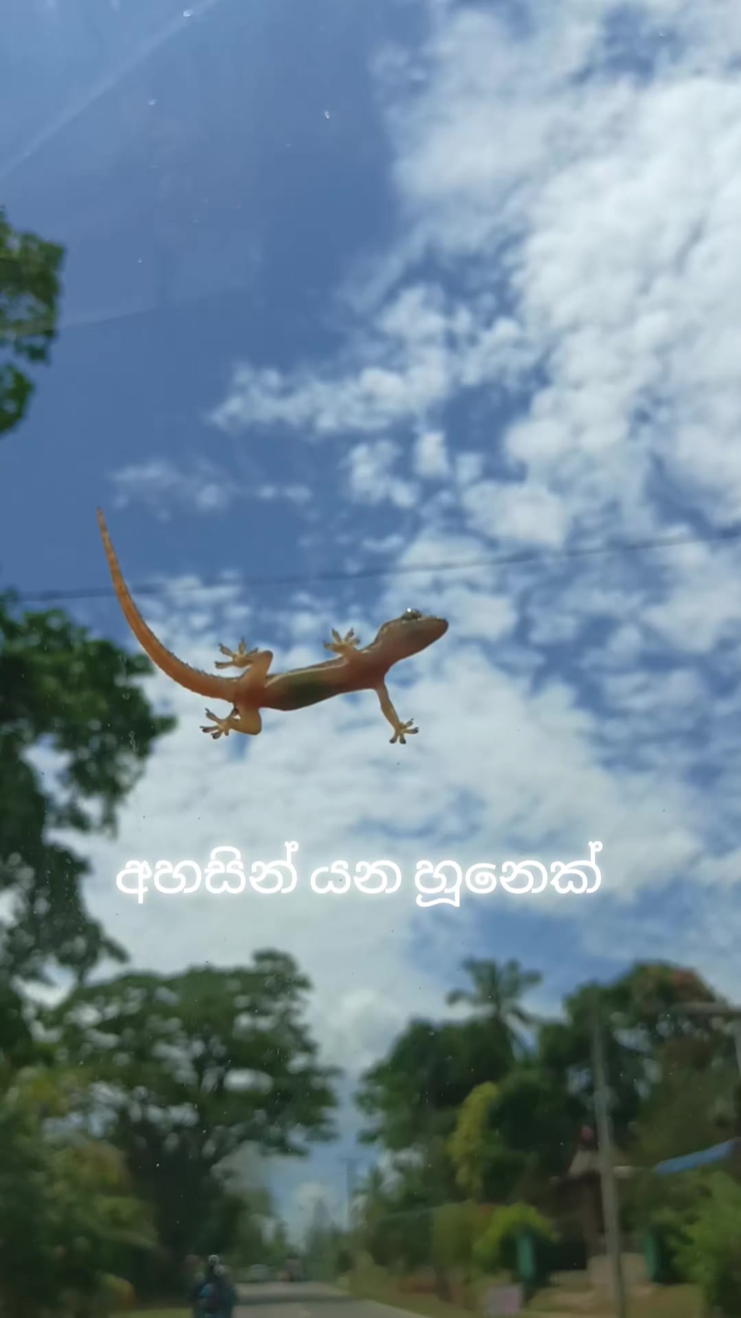 @Geethika