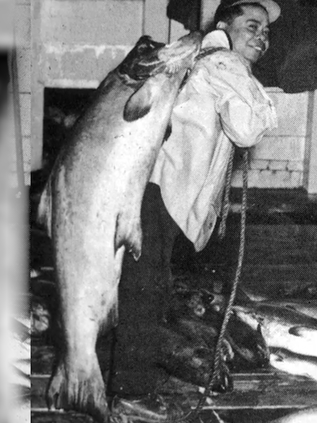 @Fishing TV
