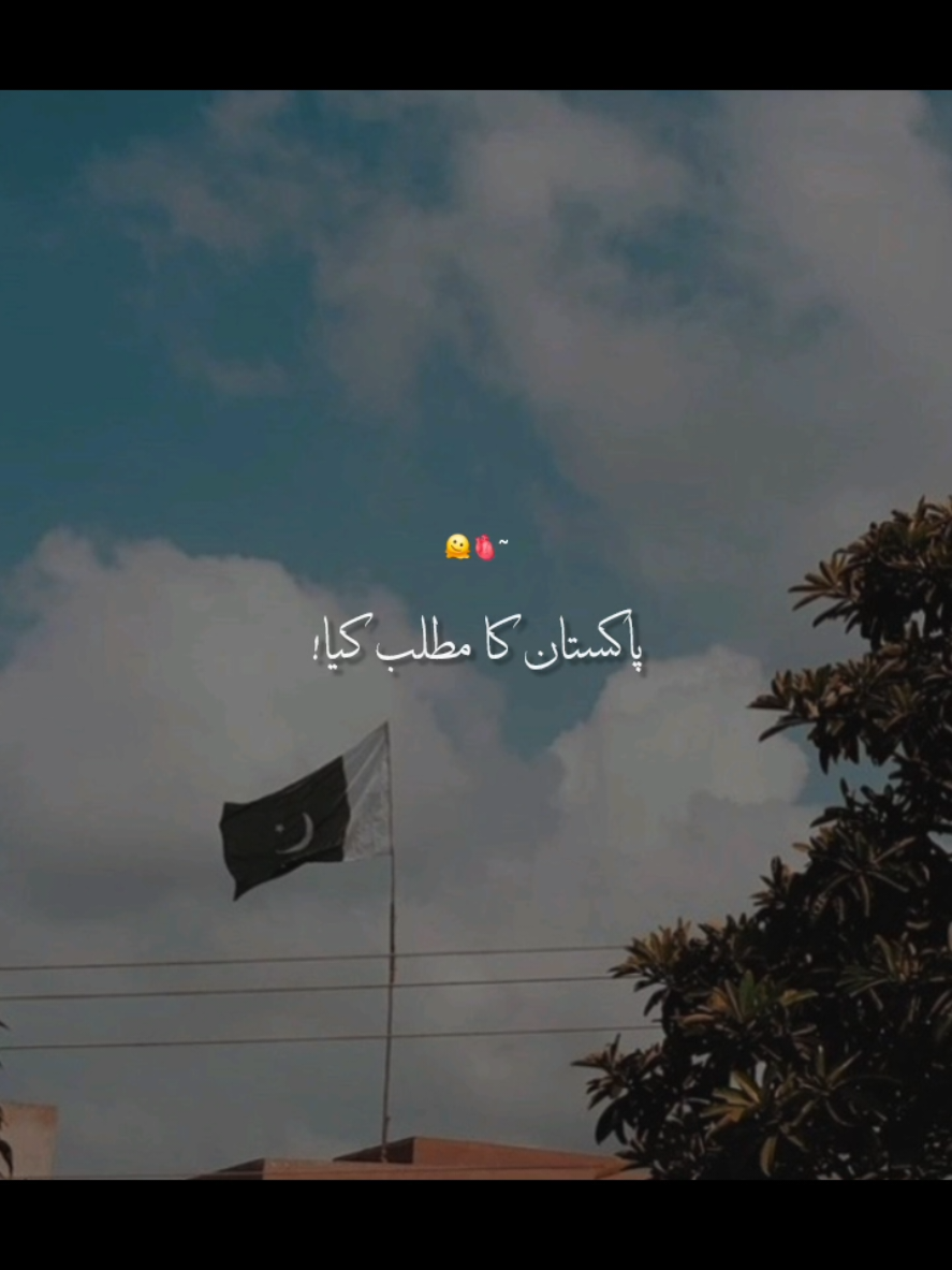 @꧁༺𝙉𝙤𝙩 𝙮𝙤𝙪𝙧 𝘼𝙨𝙖𝙙༻꧂
