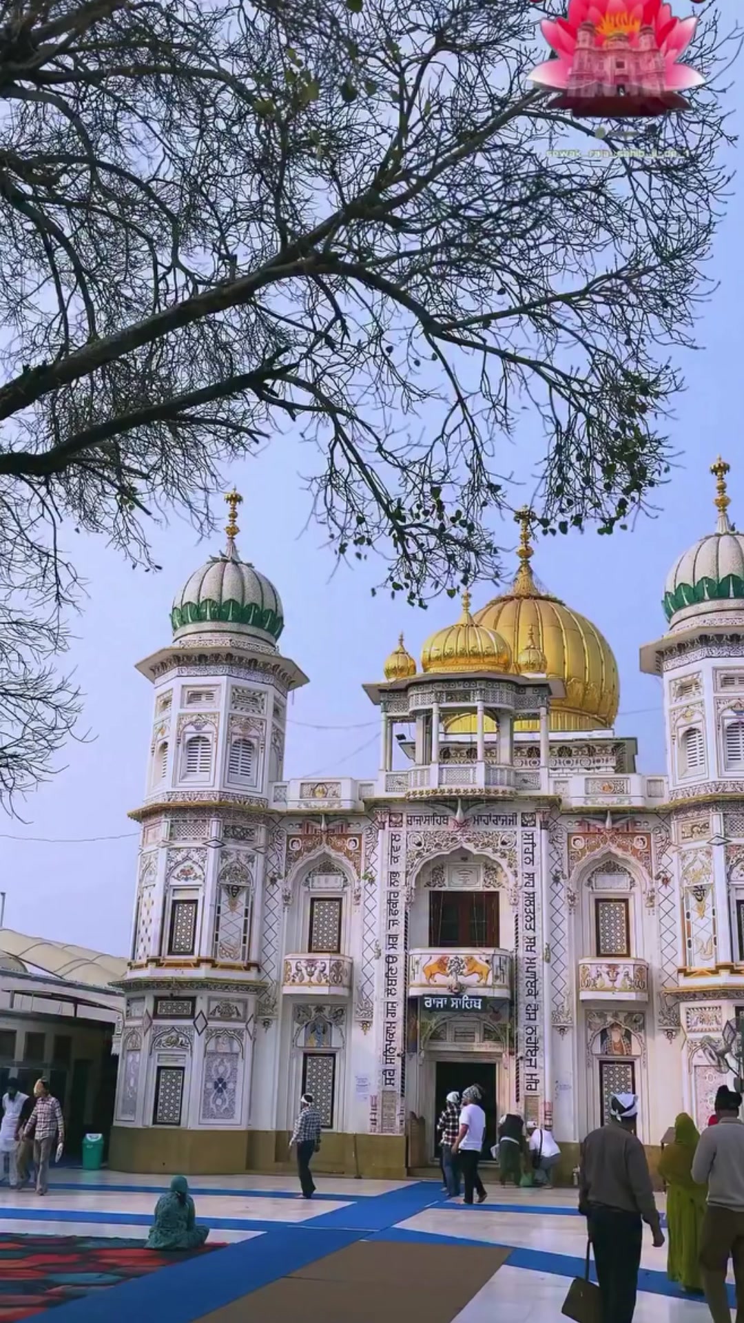 @ਜੱਦੀ ਘਰ ਰਾਜਾ ਸਾਹਿਬ ਜੀ