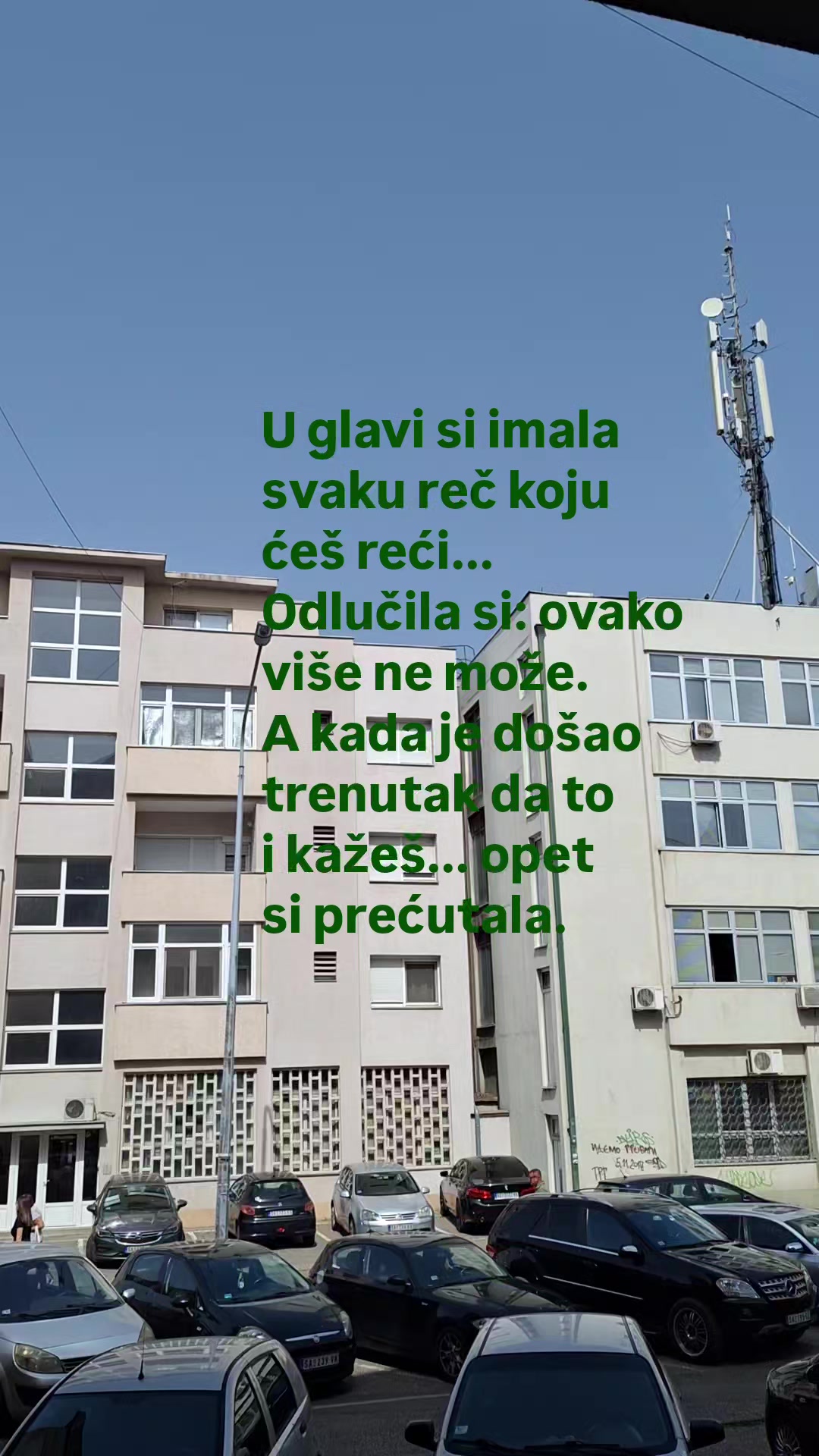 @Milka Knezevic