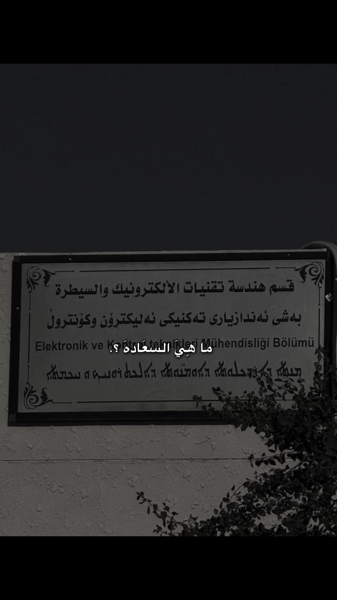 @Yousif