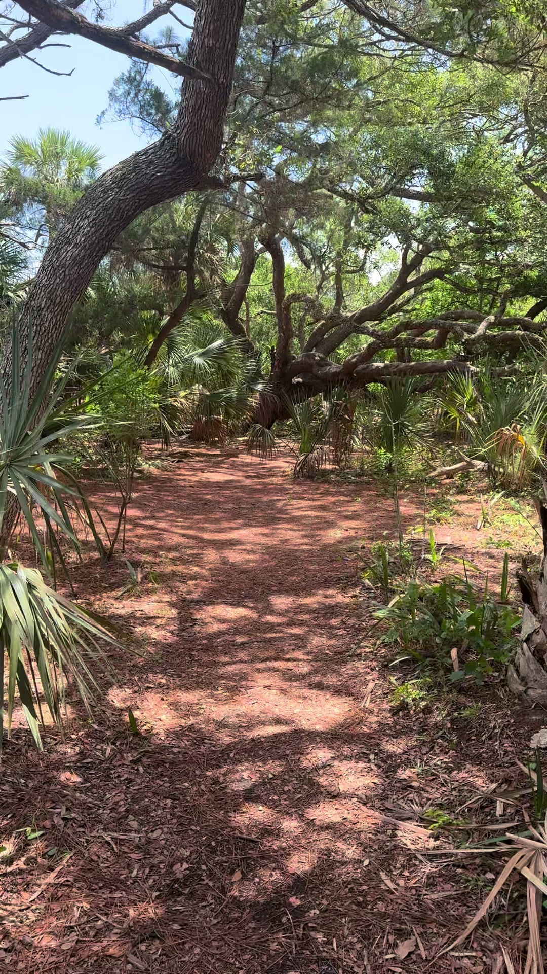 @TownsNTrails