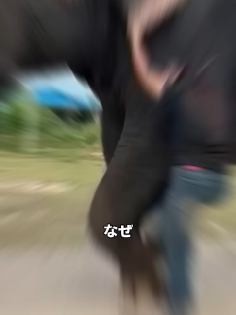 @user8297523422119