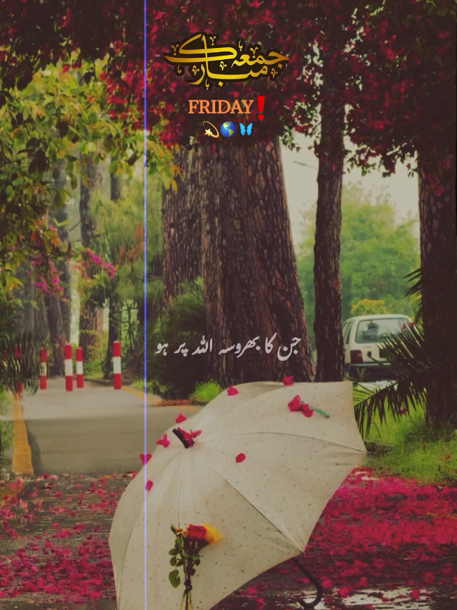 @𓆩PeaceWithin islam𓆪