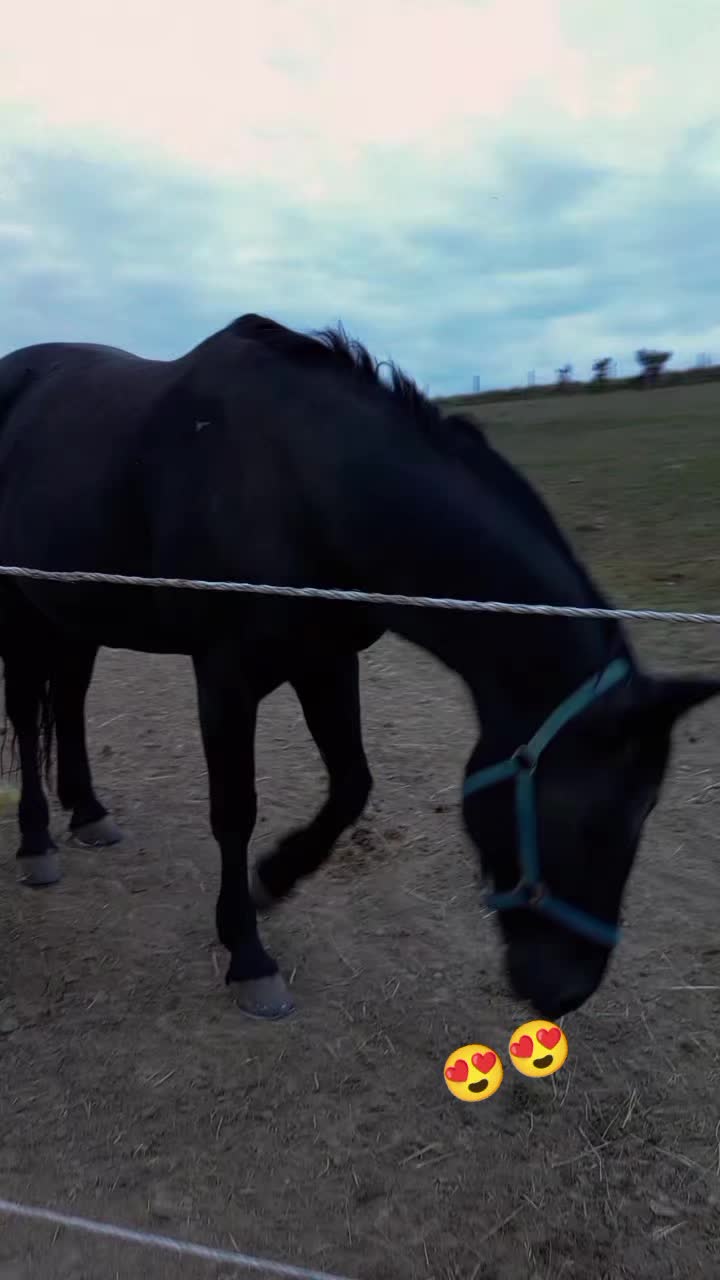 @Seby._.crețu19