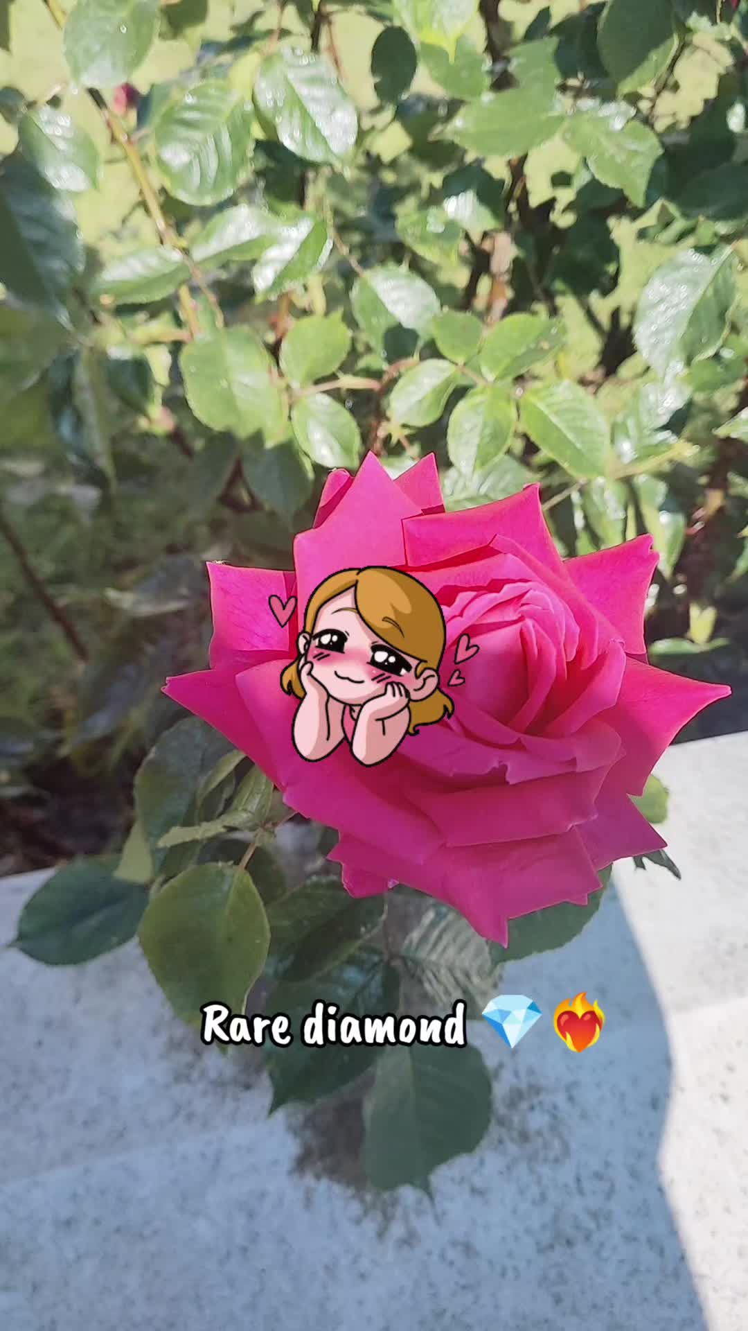 @Rare Diamond&trade; 🇬🇧🇵🇸
