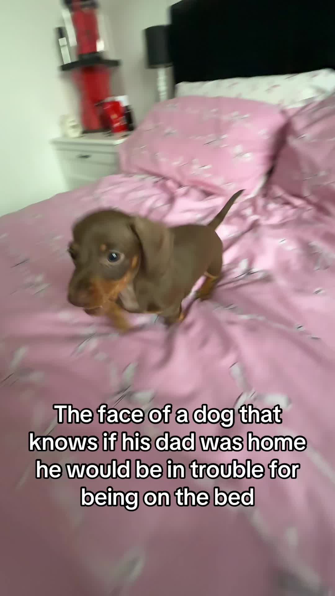 @Robyn & Archie