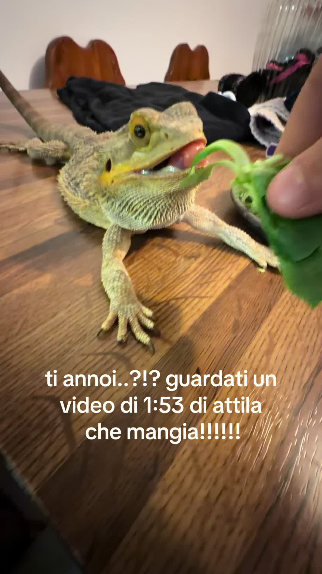 @𝓃ℴℯ🌟