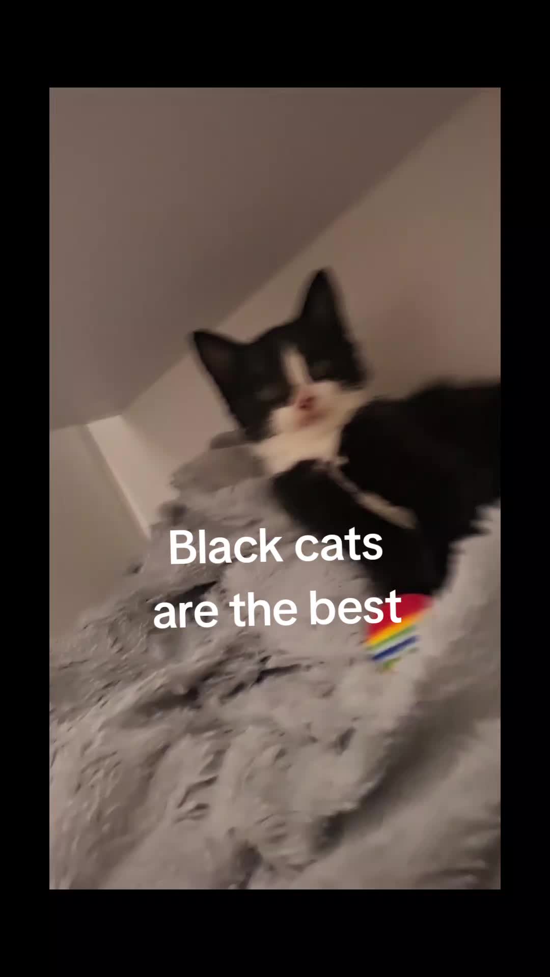 @3ir4