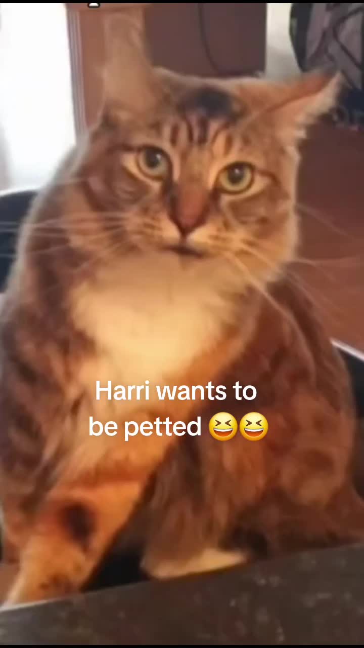 @ItsLucy♡