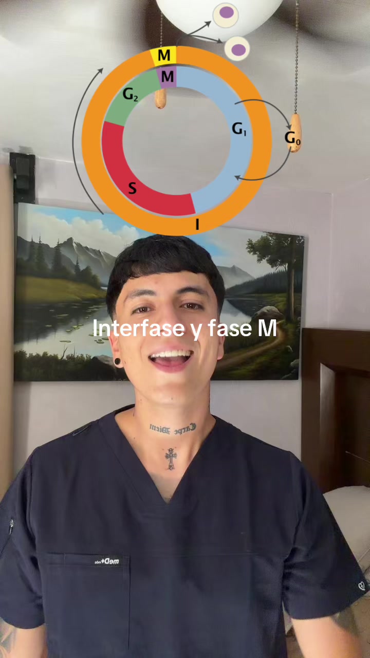 @ENDOBOY