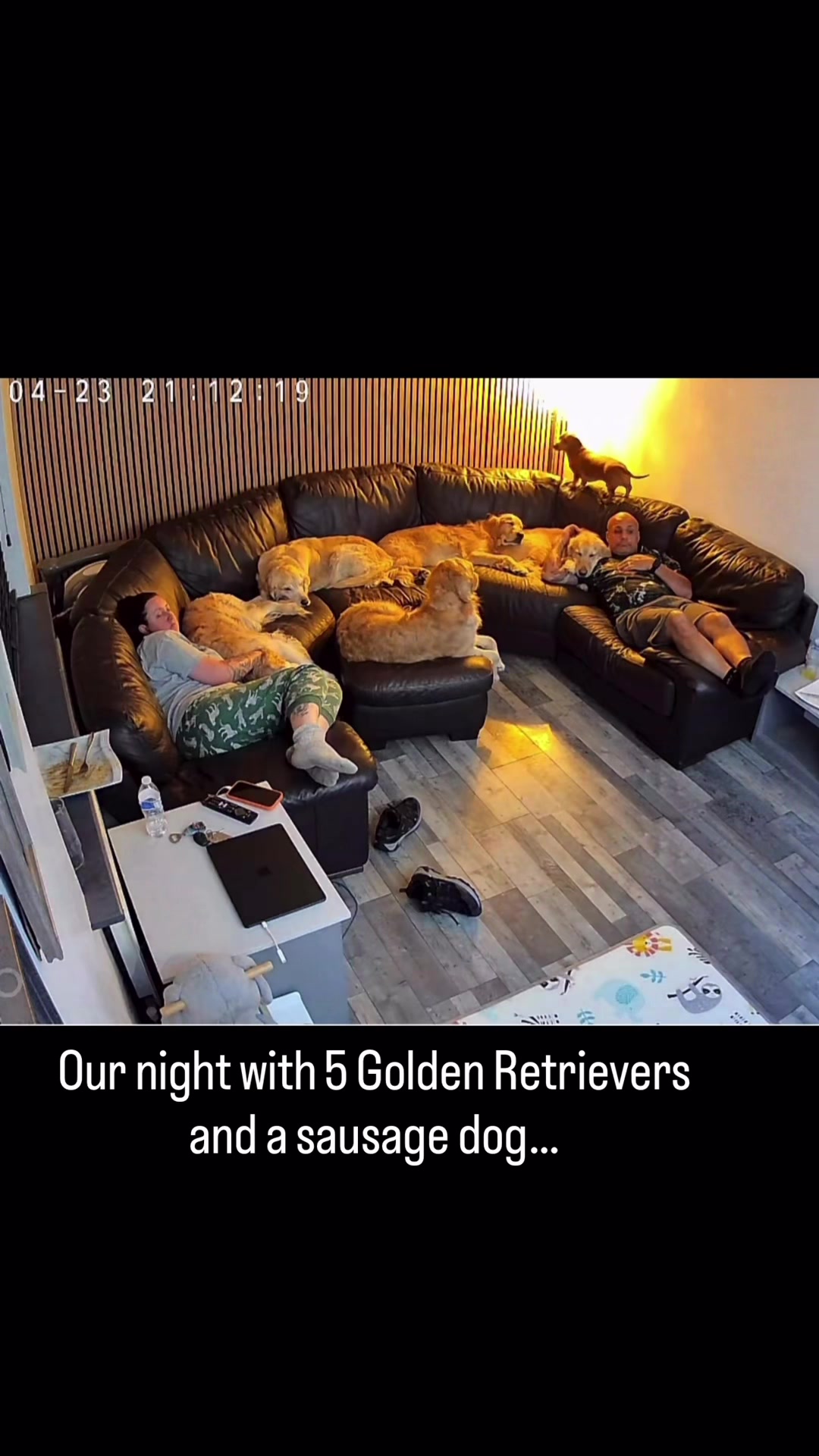 @5 Shades of Golden