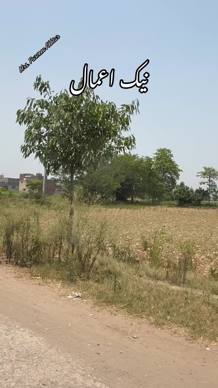 @Parveen Akhtar