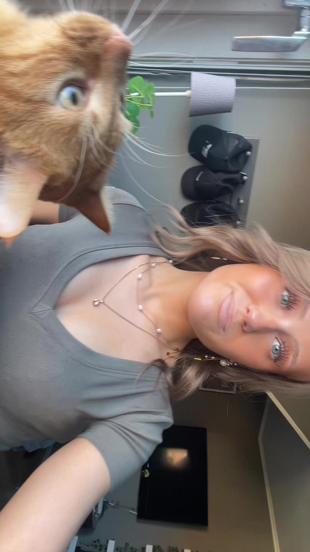 @😽