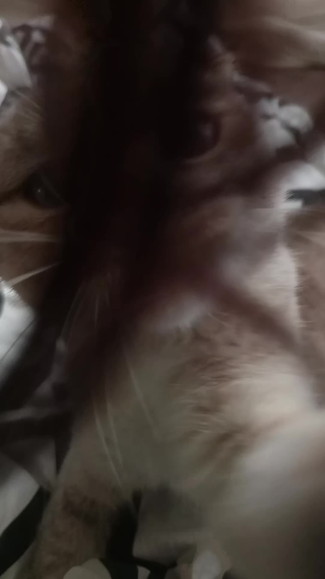 @saunakissa