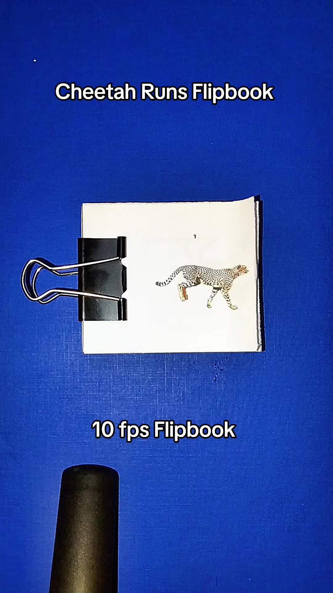 @𝗞𝗛𝗔𝗡 𝗙𝗟𝗜𝗣𝗕𝗢𝗢𝗞𝗦