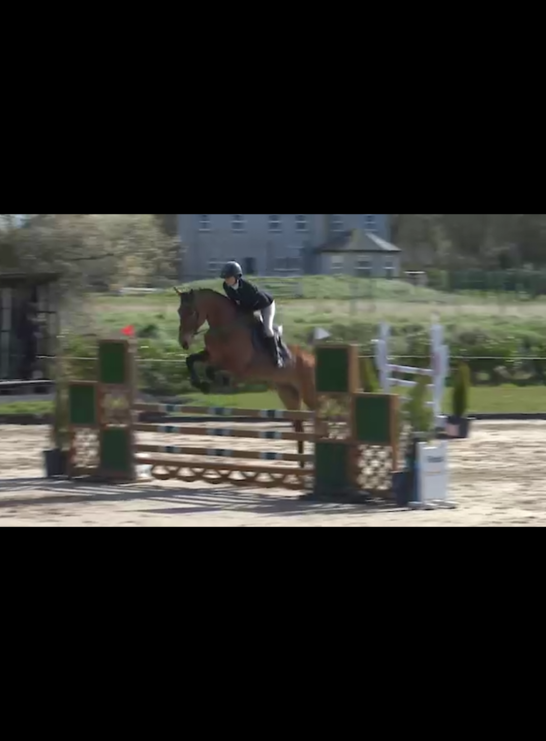 @irishsporthorses