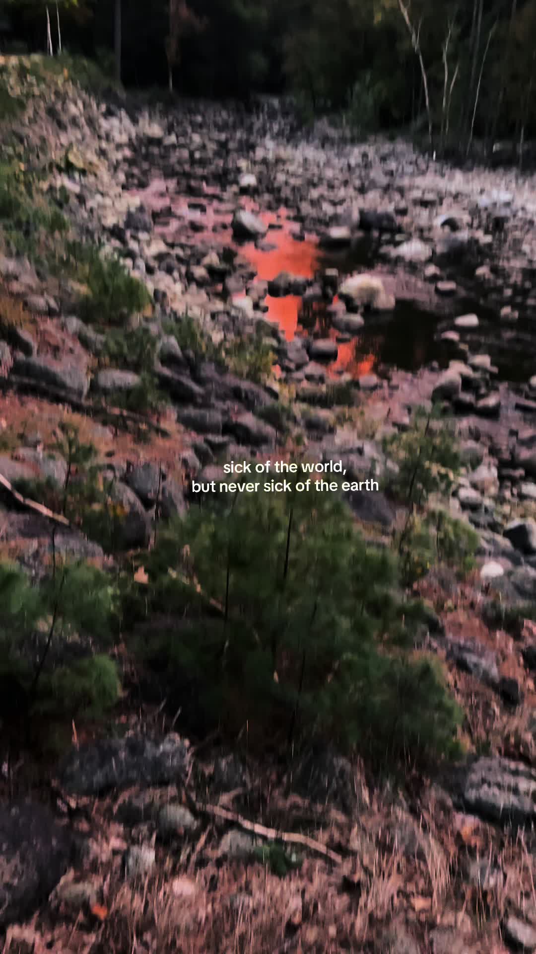 @Jen 🌿