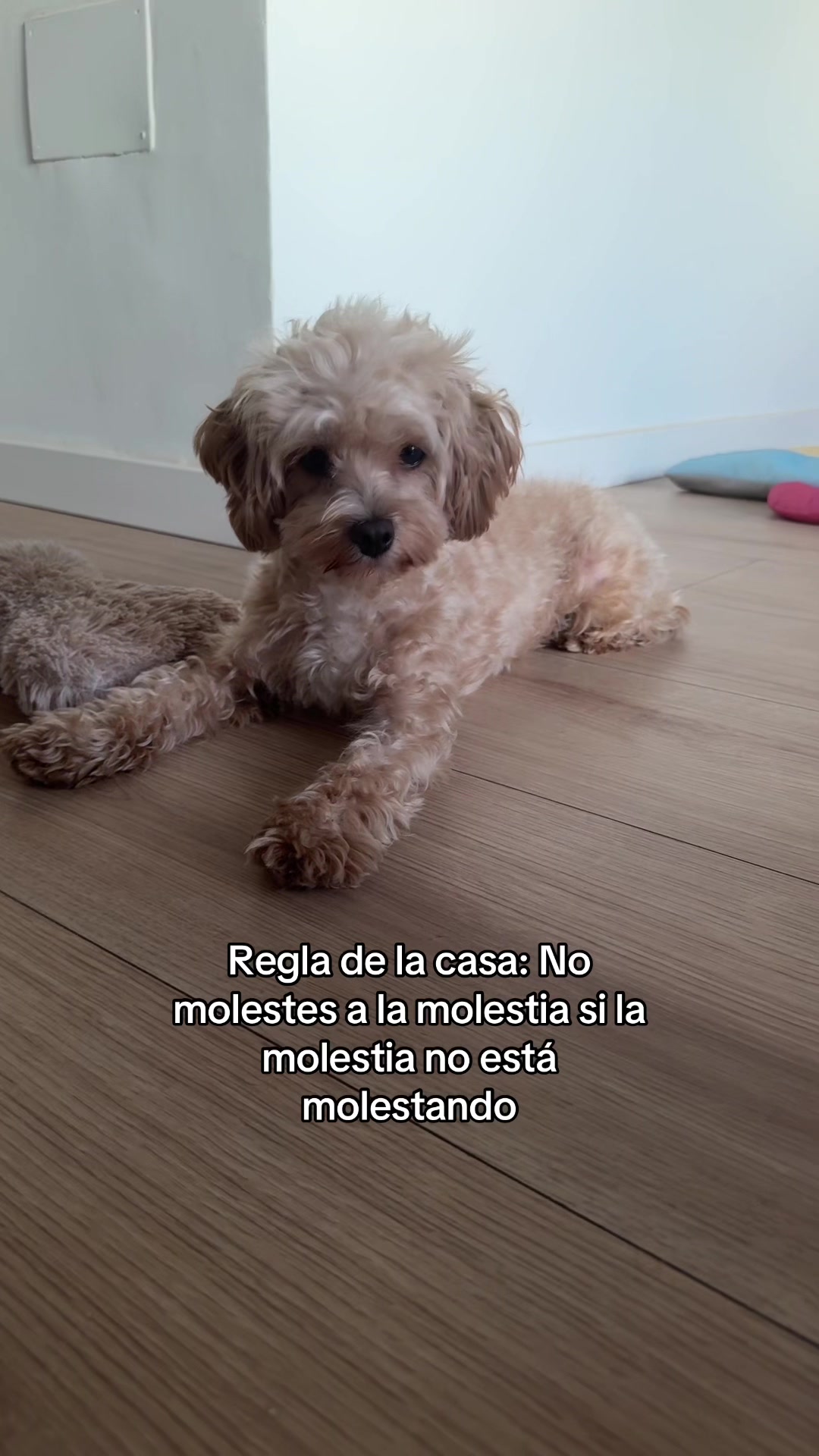 @Natalia Villegas