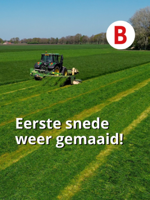 @Boerderij