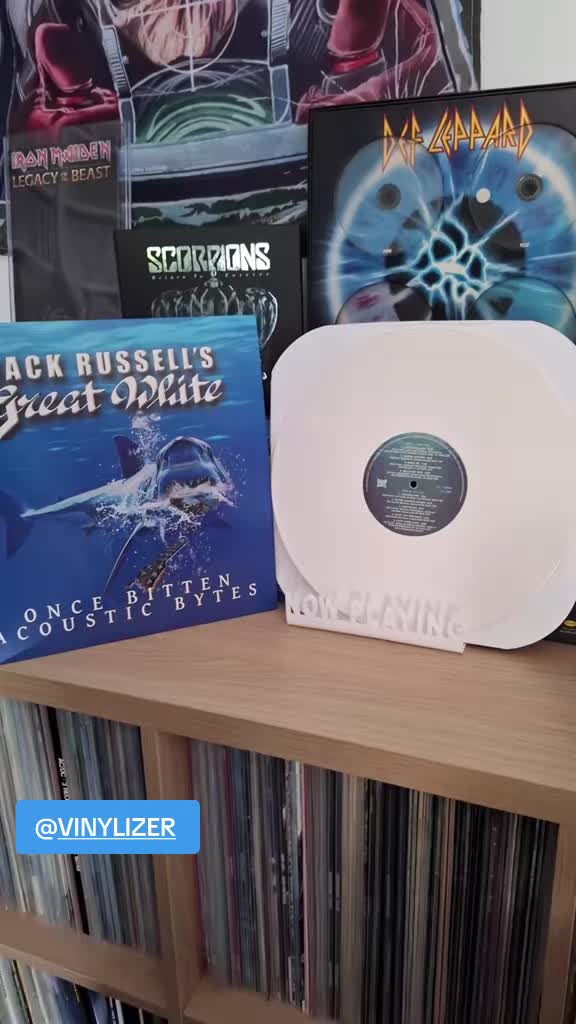 @VINYLIZER