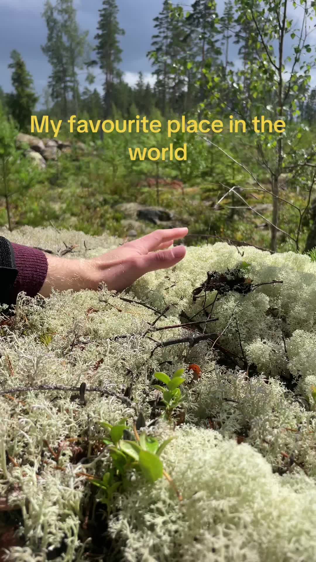 @Ned