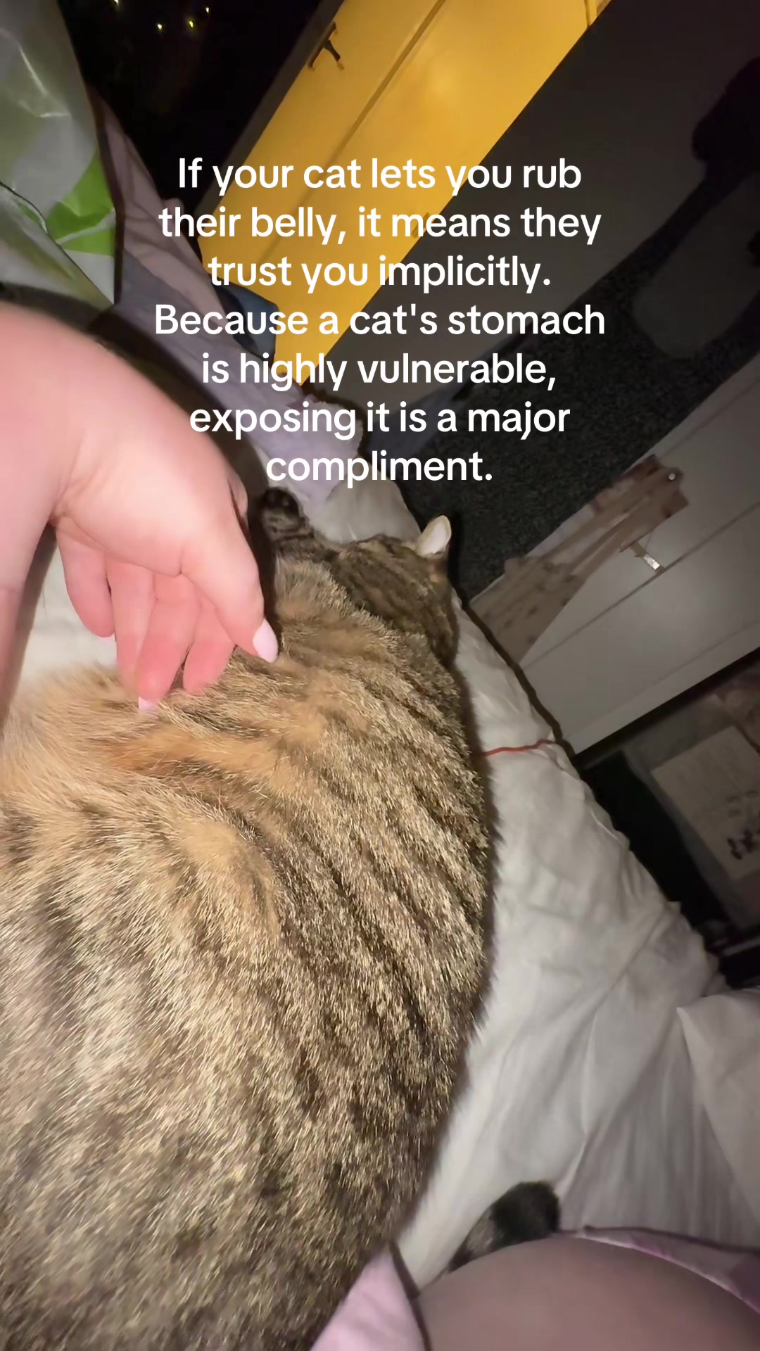 @Rebecca 🫶🏻