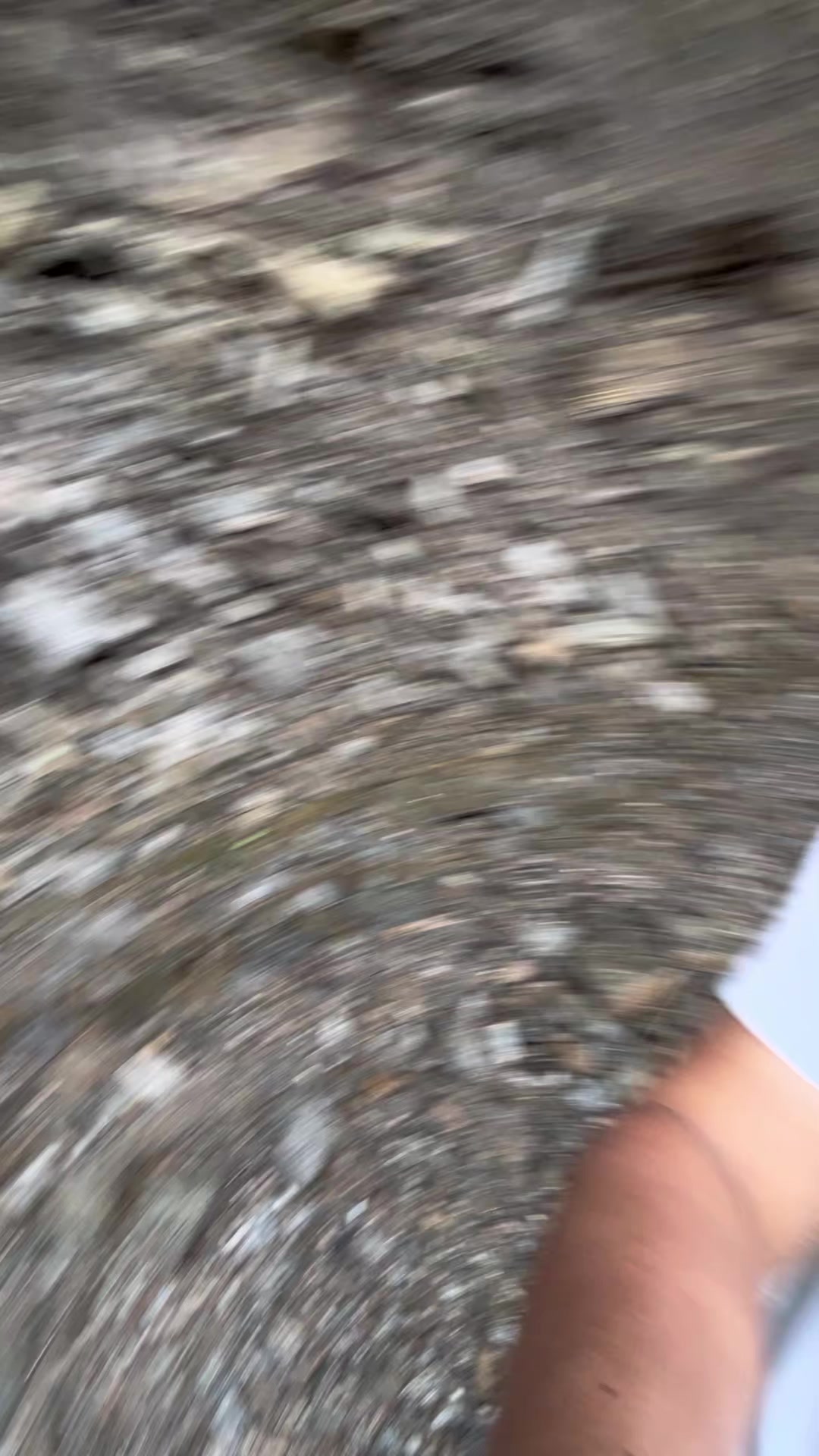 @T&uacute; L&aelig;s&atilde;💔🕊️