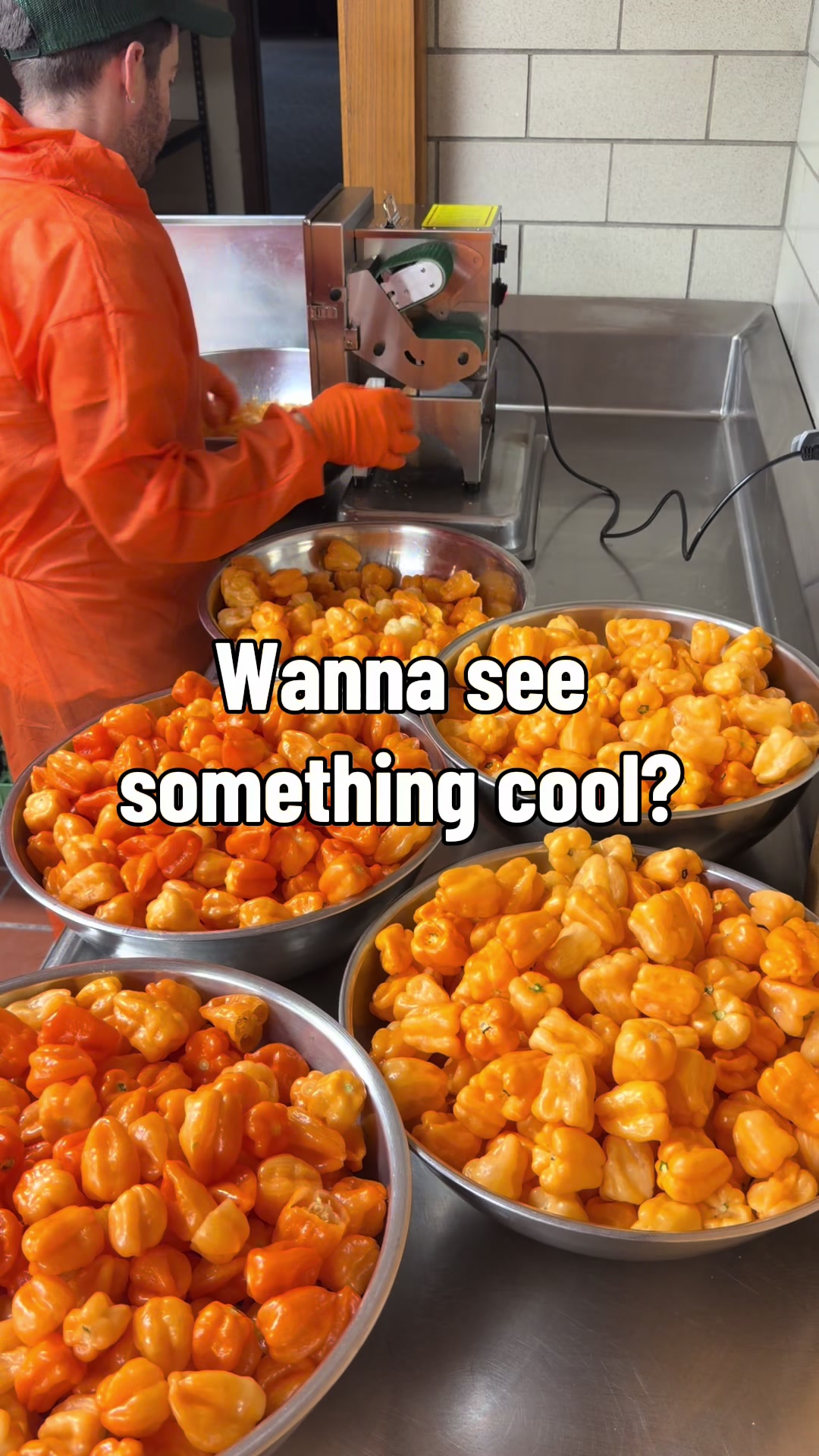 @dry sauce