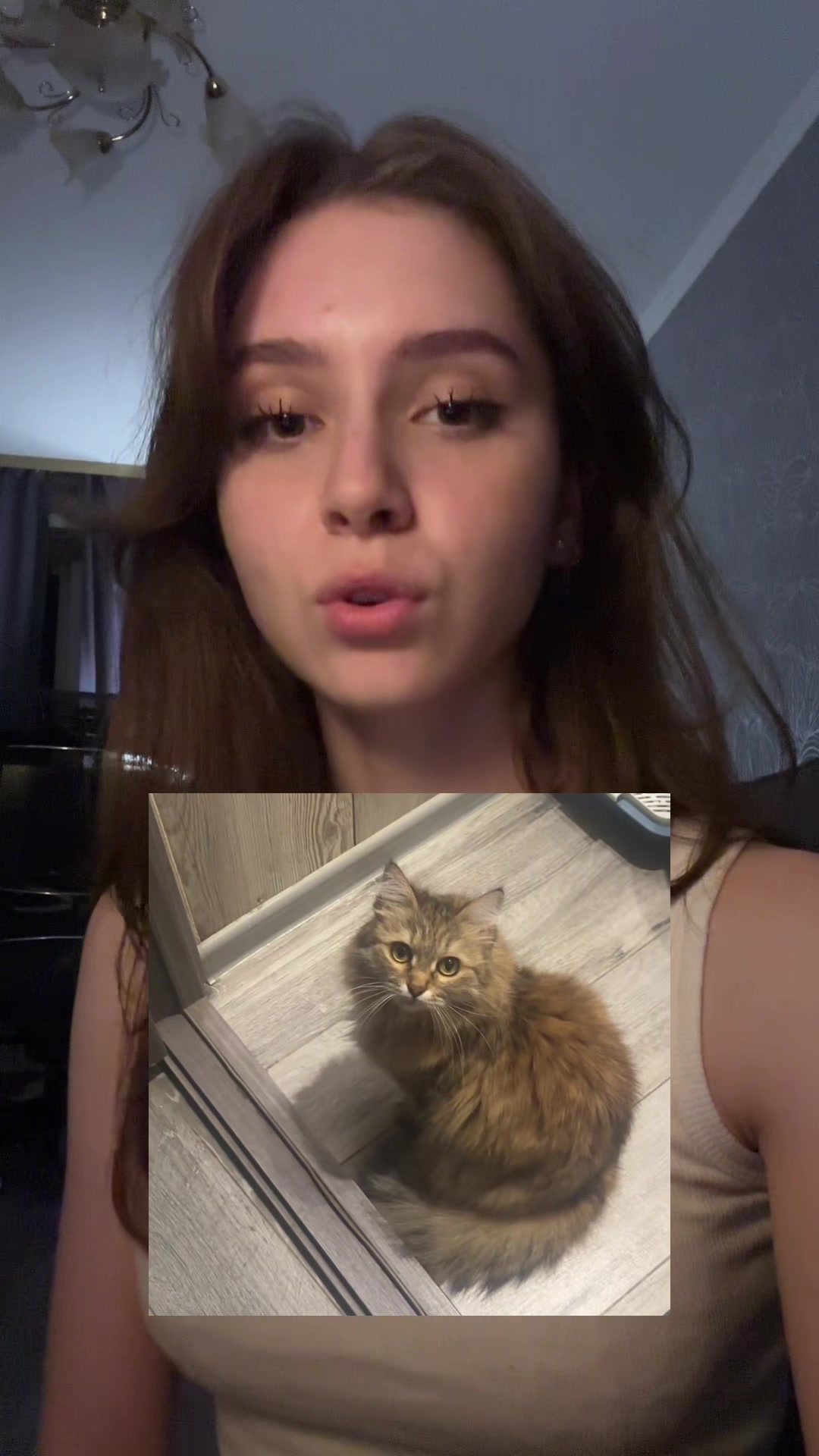 @тгк: четыре