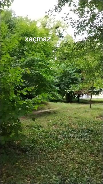 @xuramanrehimova3