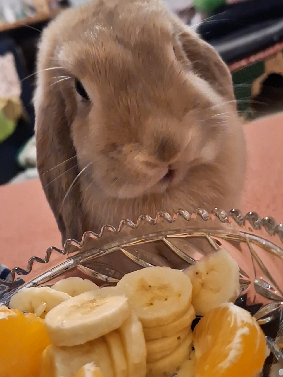 @Buns at Home