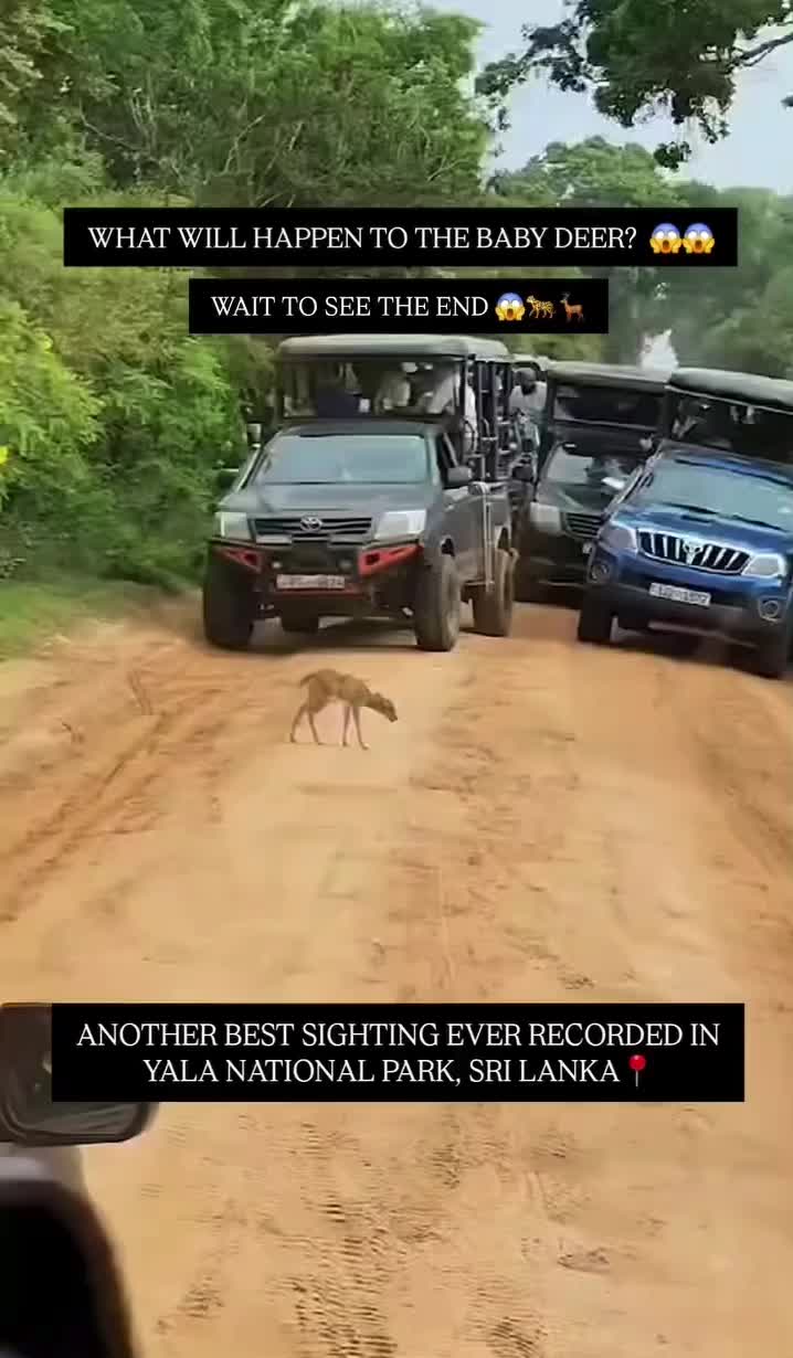 @Y A L L A T R A V E L