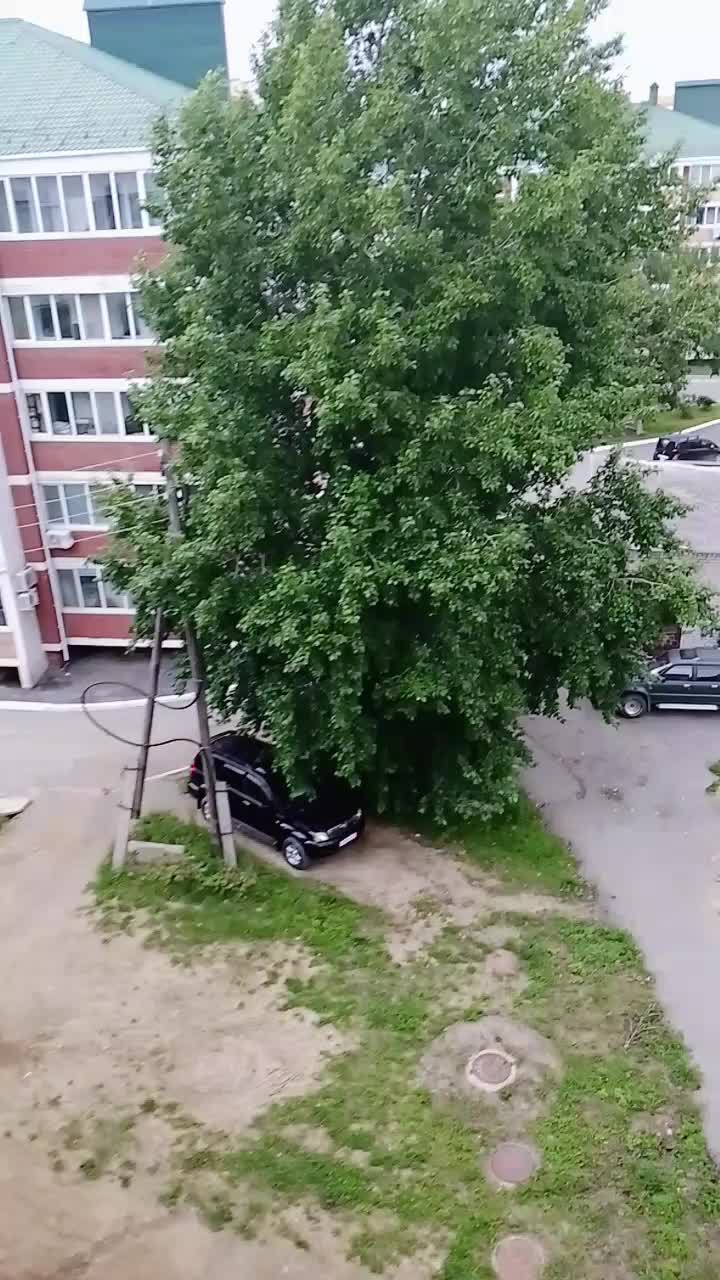 @сабринка