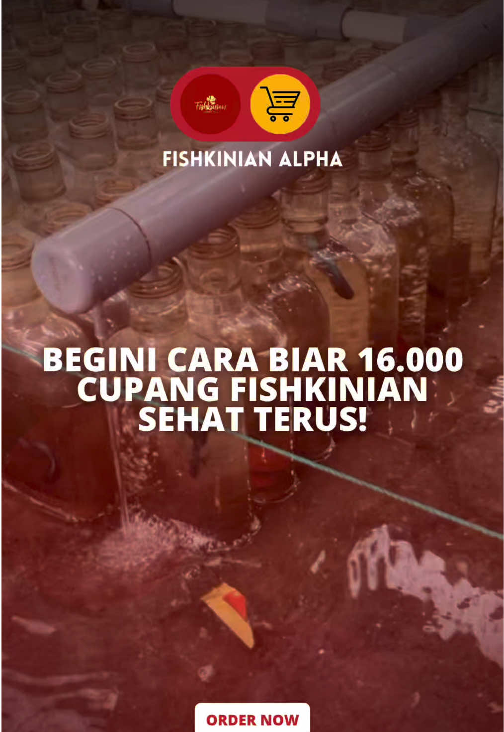 @Fishkinian Alpha1
