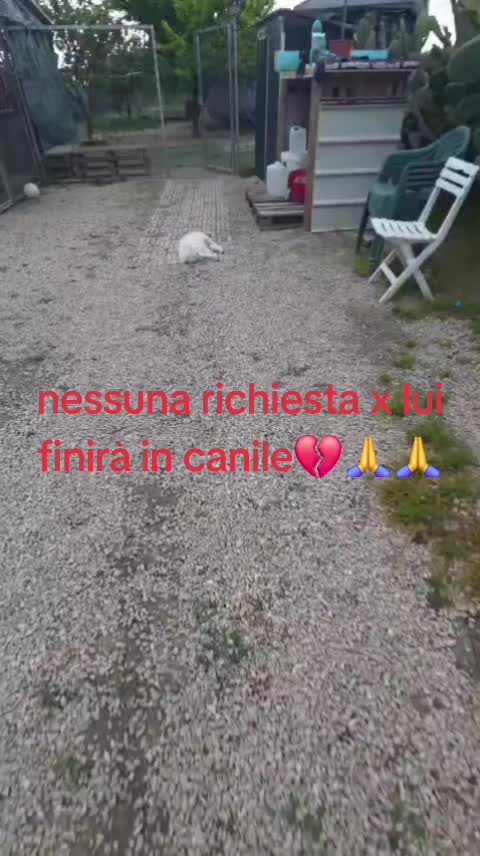 @Maria Rosaria Natill